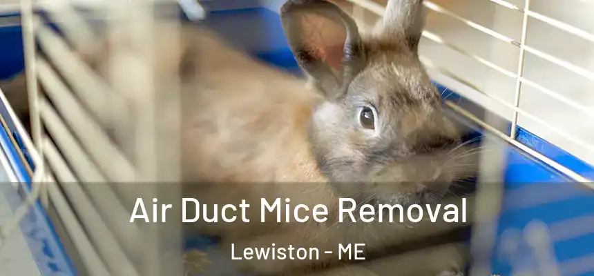  Air Duct Mice Removal Lewiston - ME