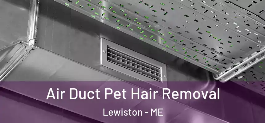  Air Duct Pet Hair Removal Lewiston - ME