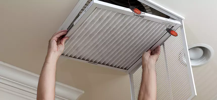 Preventive Cockroach-Proofing for Ducts in Lewiston