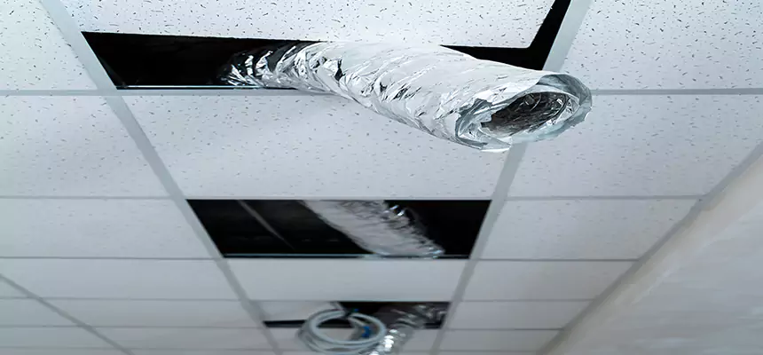 Our Air Duct Pet Hair Removal Services in Lewiston, ME