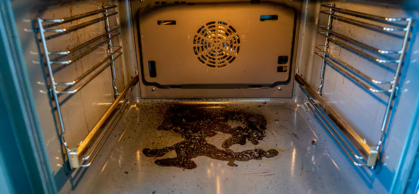 Our Dryer Vent Mold Cleaning Services in Lewiston, ME