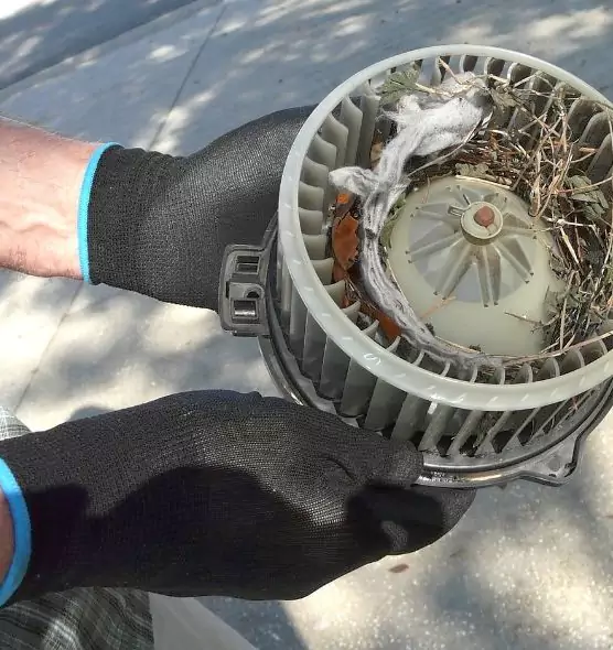 About Air Duct Rat Removal in Lewiston, ME