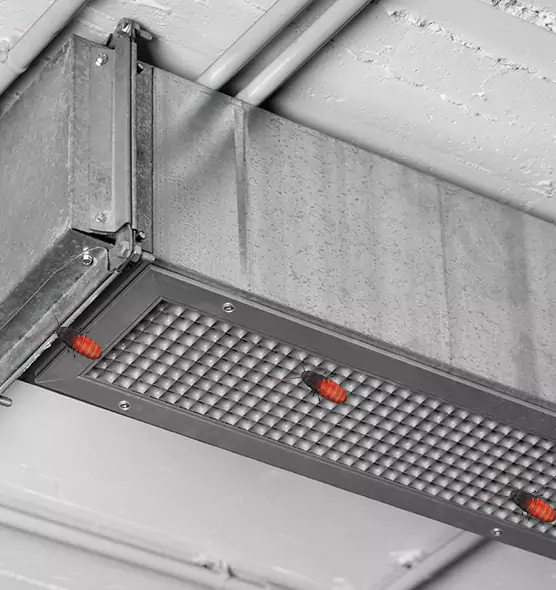 Affordable Insect Removal from Air Ducts in Lewiston, ME